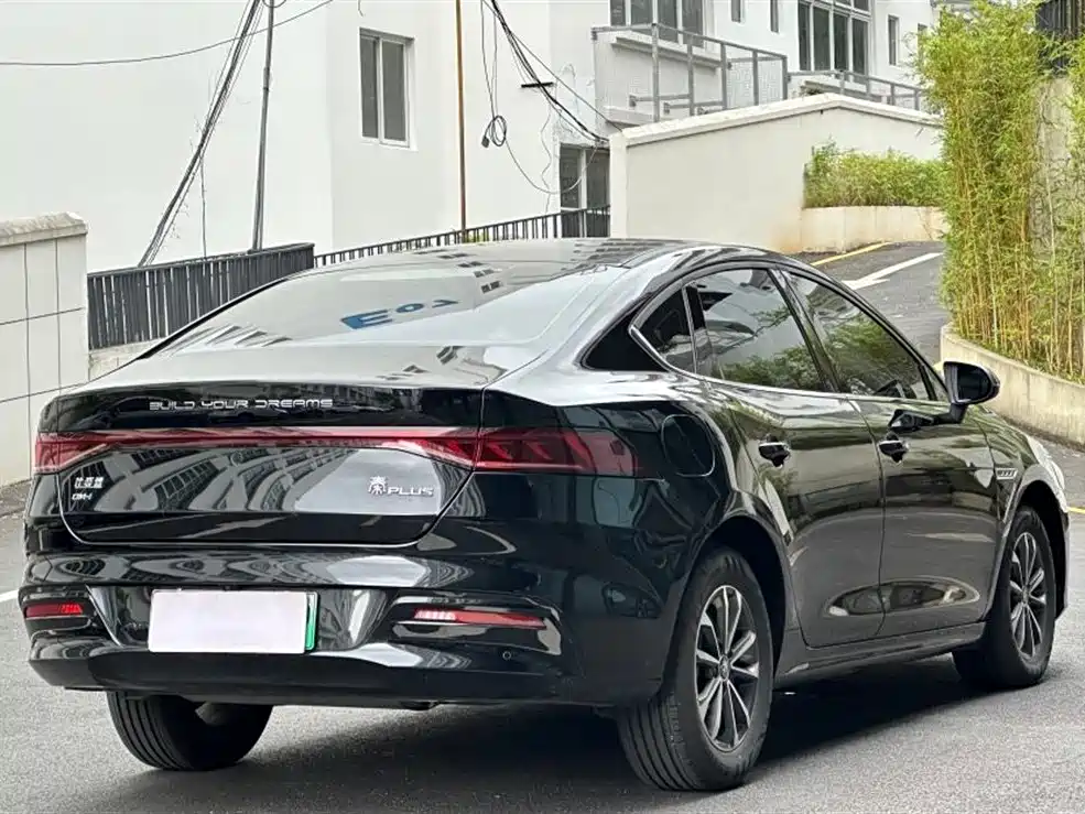 BYD Qin PLUS 2024 Glory Edition DM-i 55KM Leading фото 6