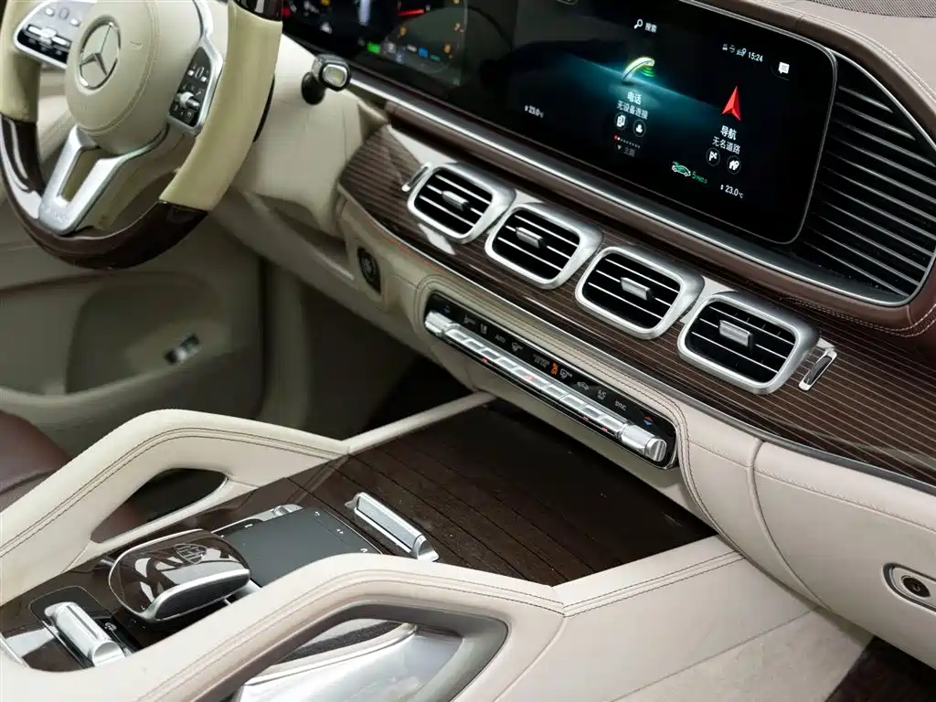 Mercedes-Benz Maybach GLS 2021 GLS 480 4MATIC фото 15