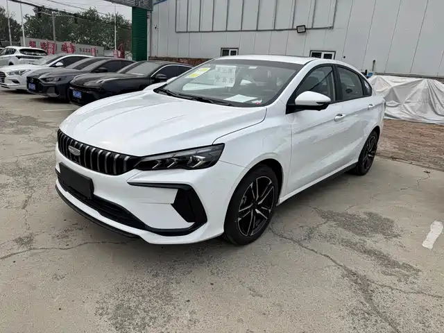 GEELY AUTOMOBILE BINRUI