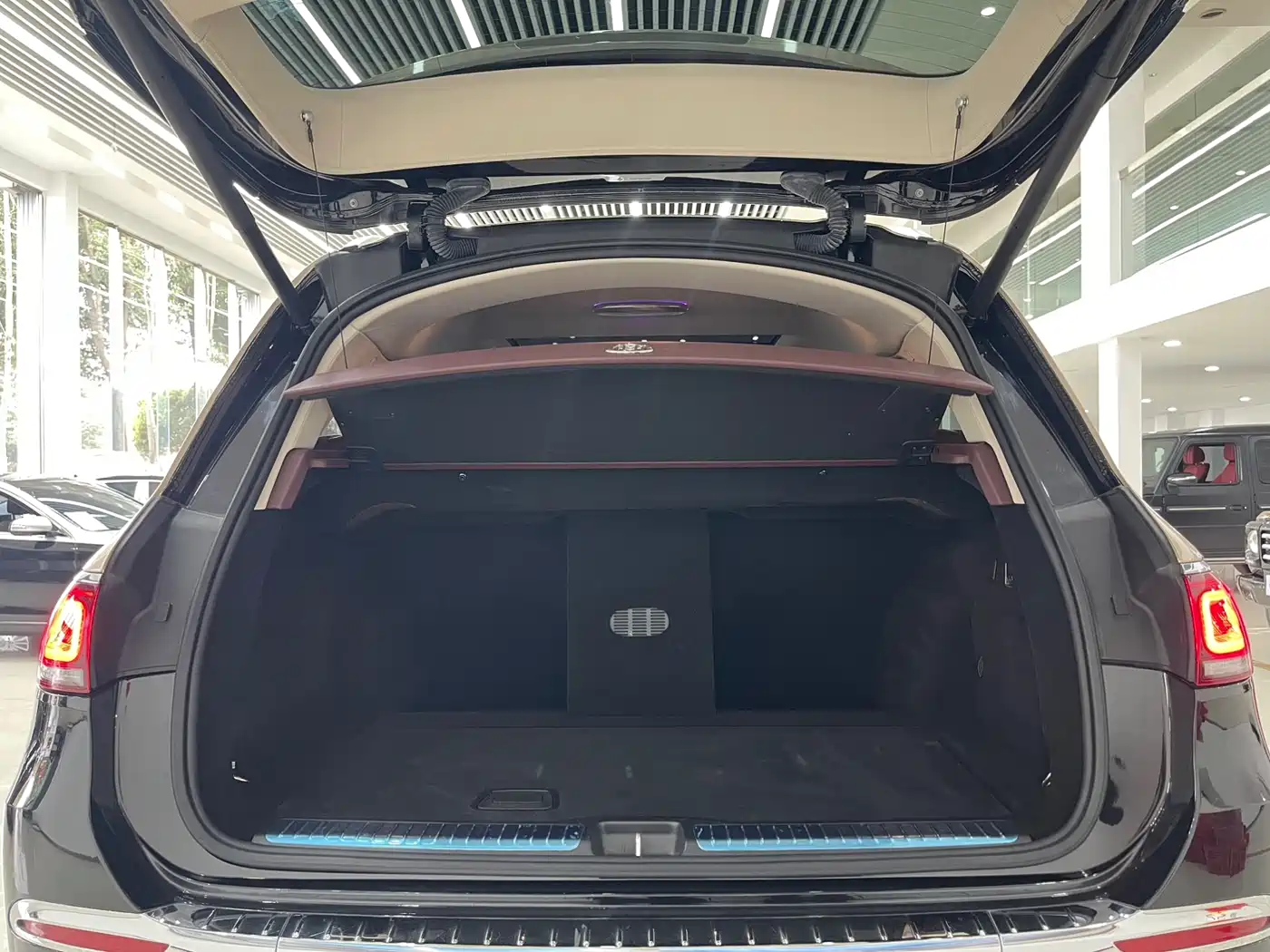 Mercedes-Benz GLS 2023 GLS 450 4MATIC Luxury Edition фото 33