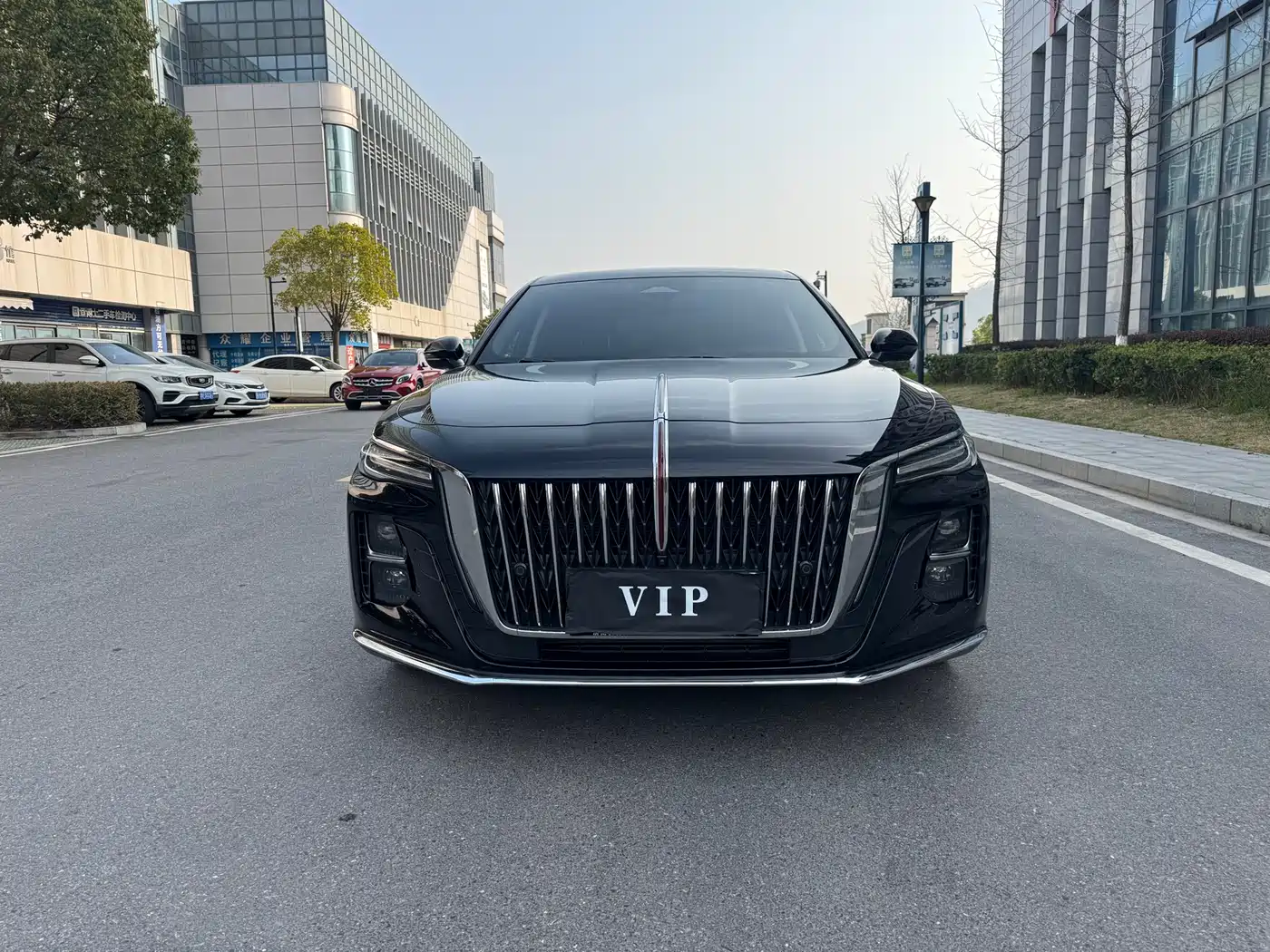 Hongqi H5 2023 2.0T Auto Smart Connect Flag Comfort фото 3