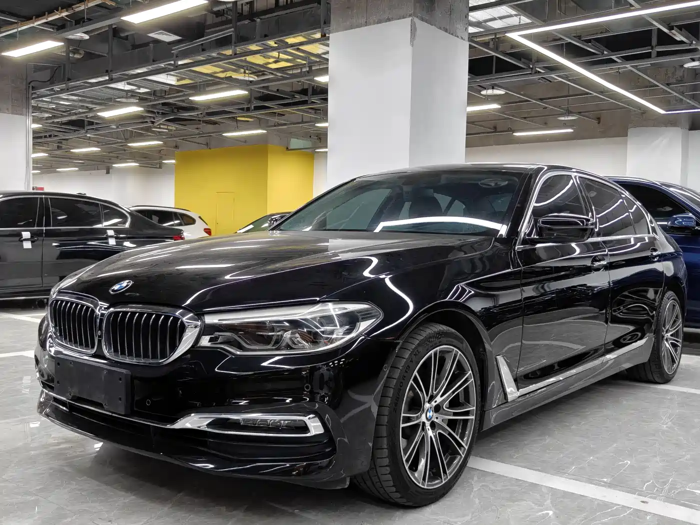 BMW 5 Series 2019 530Li Premium Luxury Package
