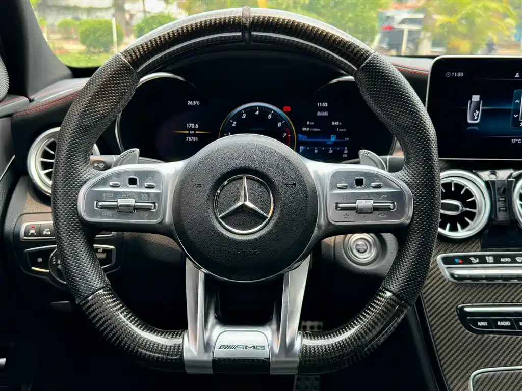 Mercedes-Benz C-Class AMG 2019 AMG C 43 4MATIC фото 21