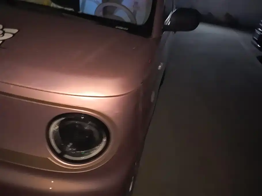 Geely Galaxy Panda 2023 Panda Mini 200km Endurance Bear фото 5