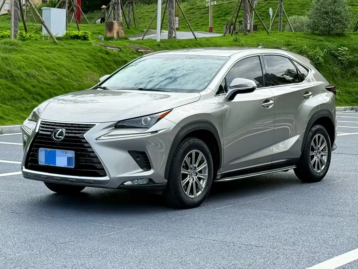 Lexus NX 2018 Model 300 FWD Fengxing Edition