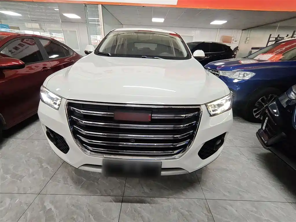 Haval H4 2018 Red Label 1.3GDIT DCT Fashion Edition фото 3