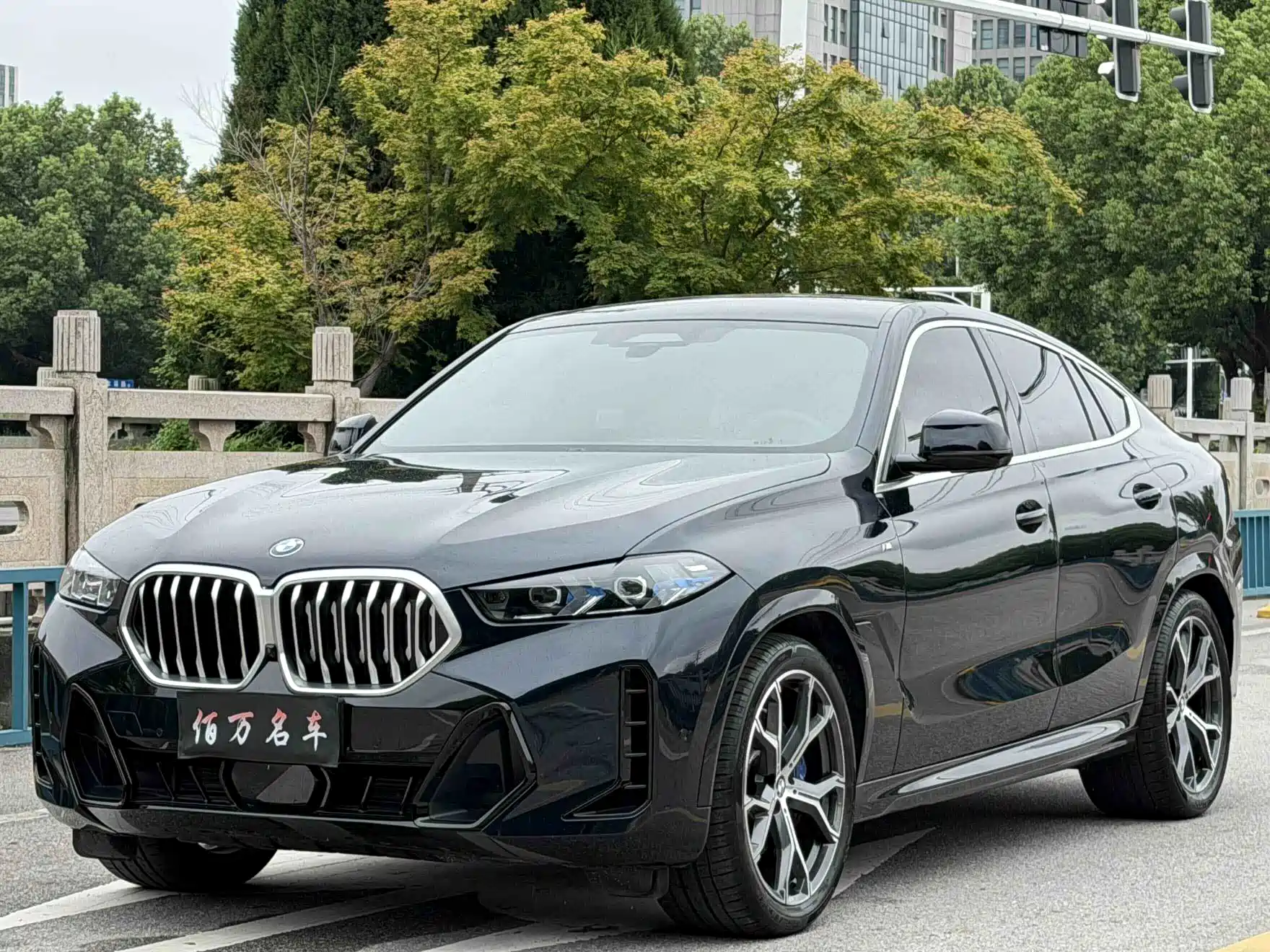 Фото 1 - BMW X6