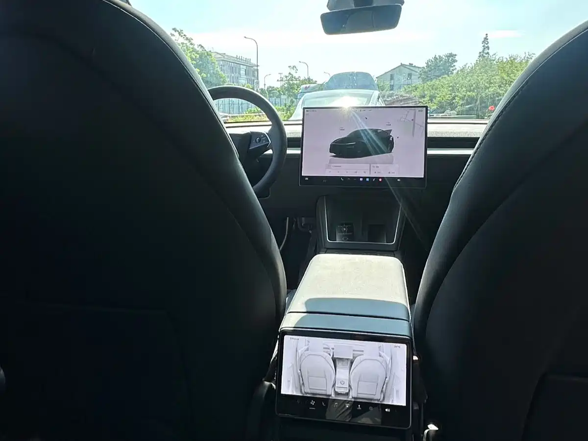 Tesla Model Y 2026 Rear-Wheel Drive фото 14