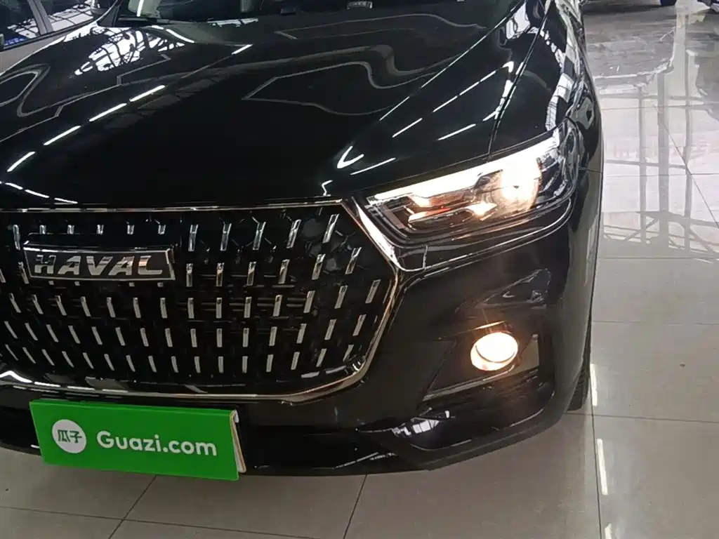 Haval H6 2023 National Trend Edition 1.5T Automatic Urban фото 24