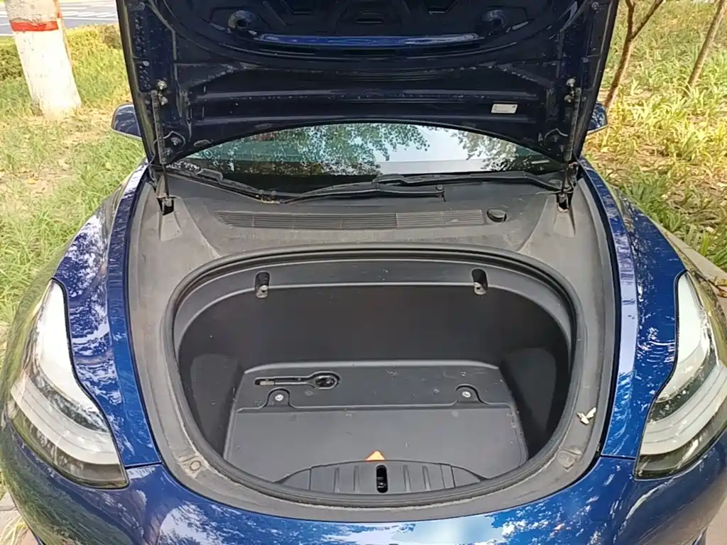 Tesla Model 3 (Import) 2020 2019 Standard Range RWD Upgraded Edition