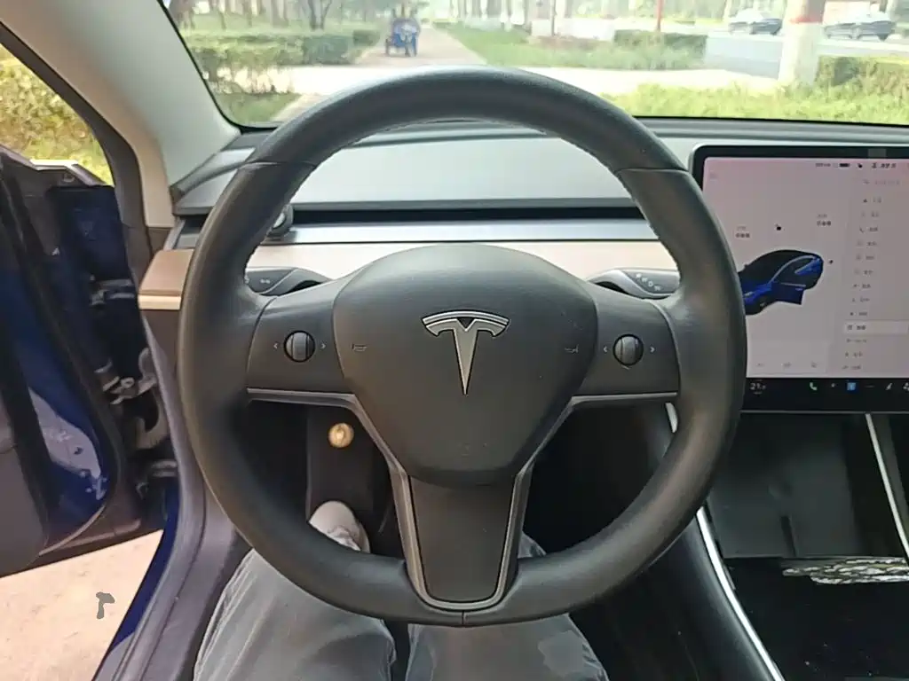 Фото 11 - Tesla Model 3 (Import)