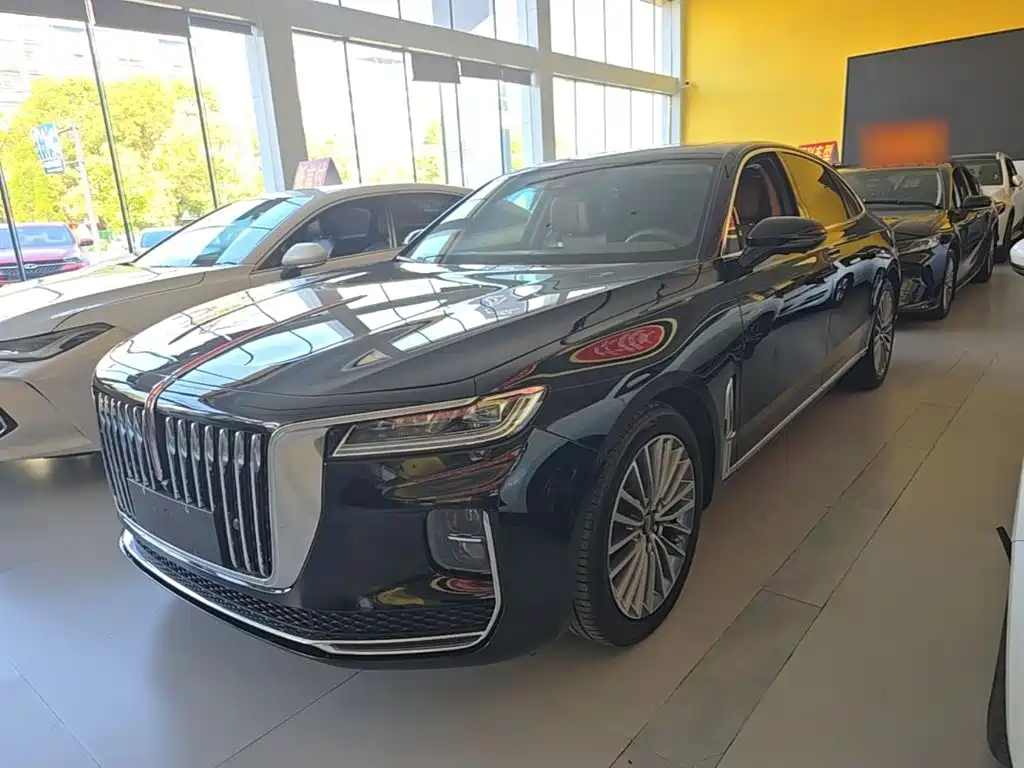 Фото 2 - Hongqi H9