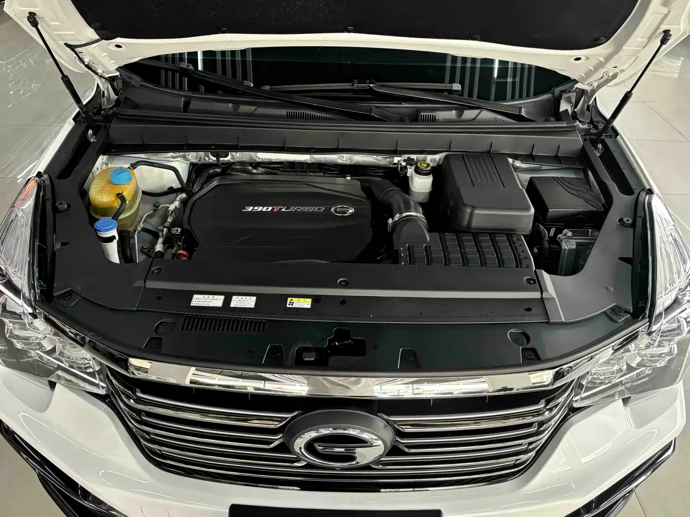 GAC Trumpchi Trumpchi GS8 2020 Model 390T AWD Premium (7-seater) фото 26