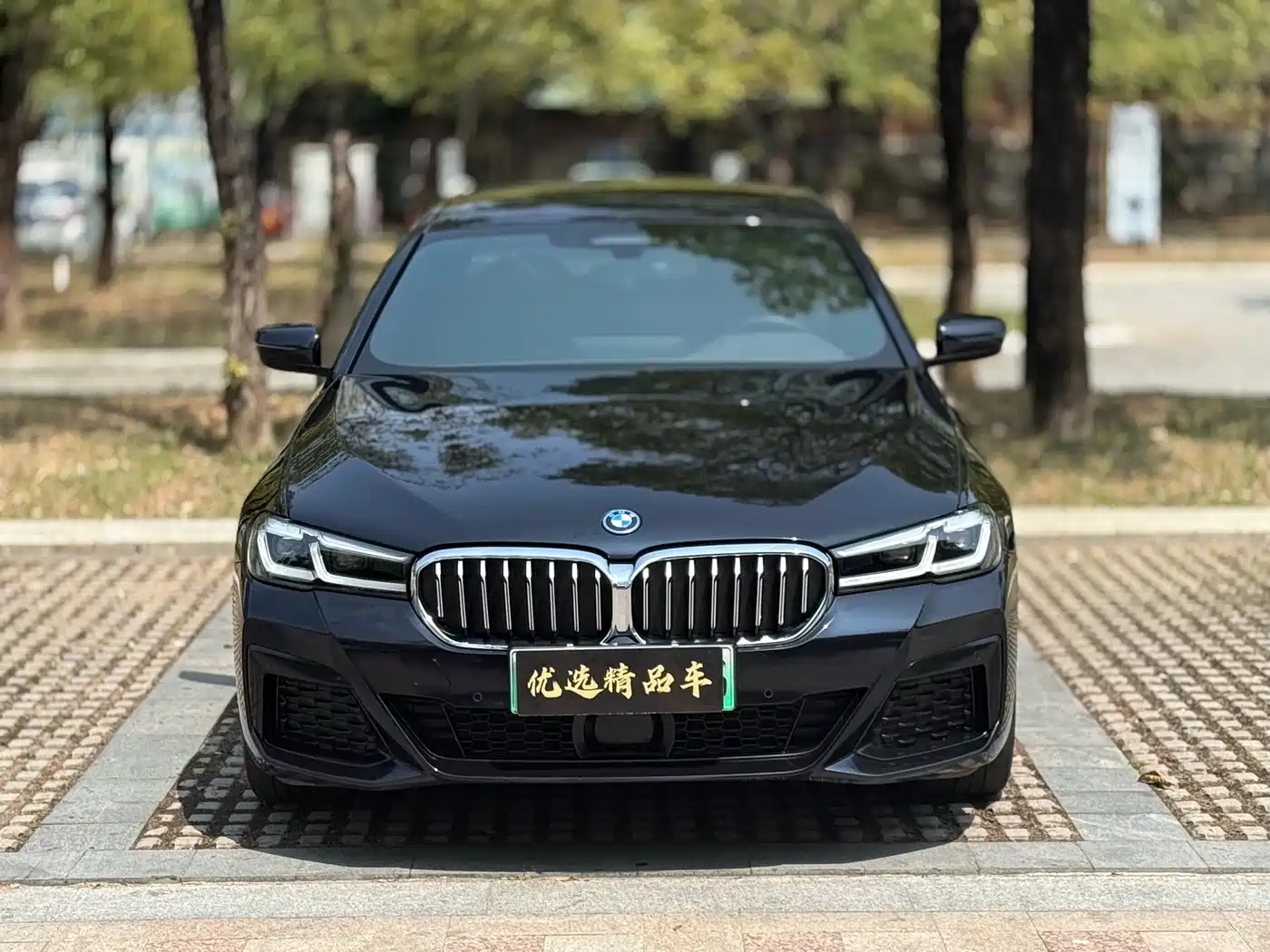 BMW 5 Series New Energy 2022 Facelift 535Le Pioneer M Sport Package фото 2