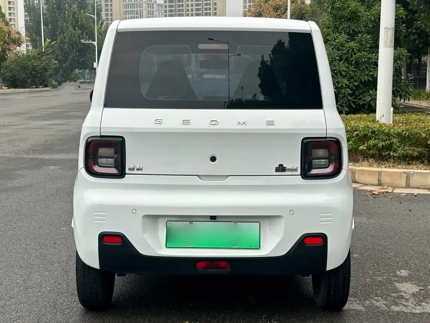 Geely Galaxy Panda 2023 2023 Panda Mini 200km Endurance Bear