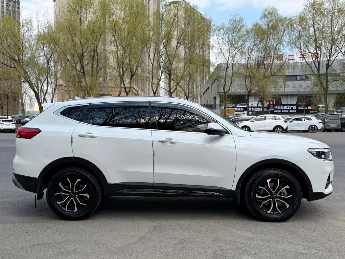 Haval H6 2023 National Trend Edition 1.5T Automatic Urban фото 4