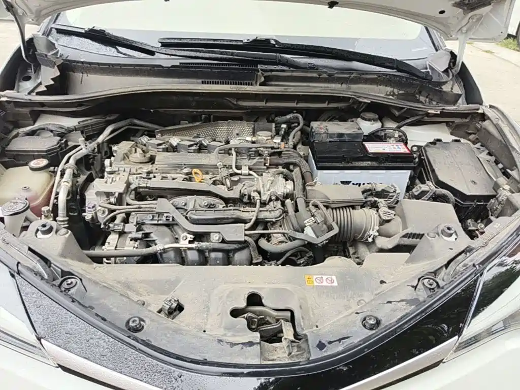 Toyota IZOA 2021 2021 2.0L Yichi Edition