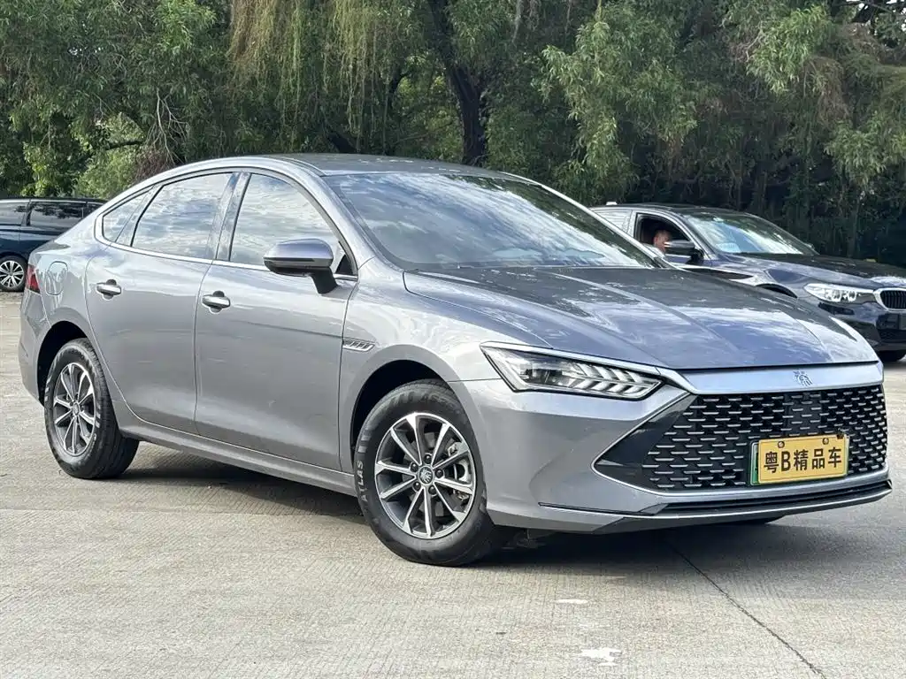 BYD Qin PLUS 2024 Glory Edition DM-i 55KM Leading фото 5