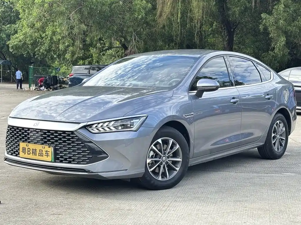 BYD Qin PLUS 2024 Glory Edition DM-i 55KM Leading