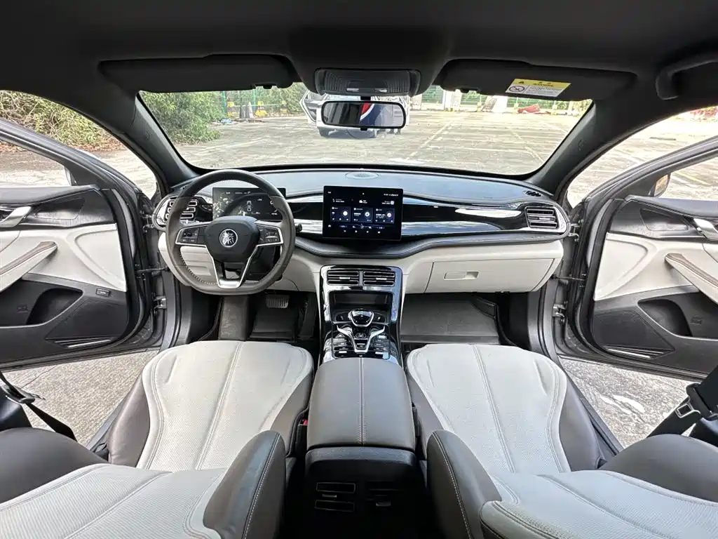 BYD Qin PLUS 2024 Glory Edition DM-i 55KM Leading фото 7