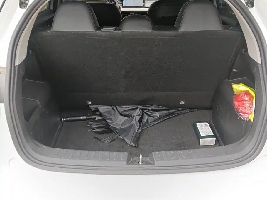 Geely Geometry E Firefly 2024 2024 Model 401km Fluorescent
