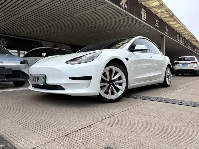 Tesla Model 3 2021