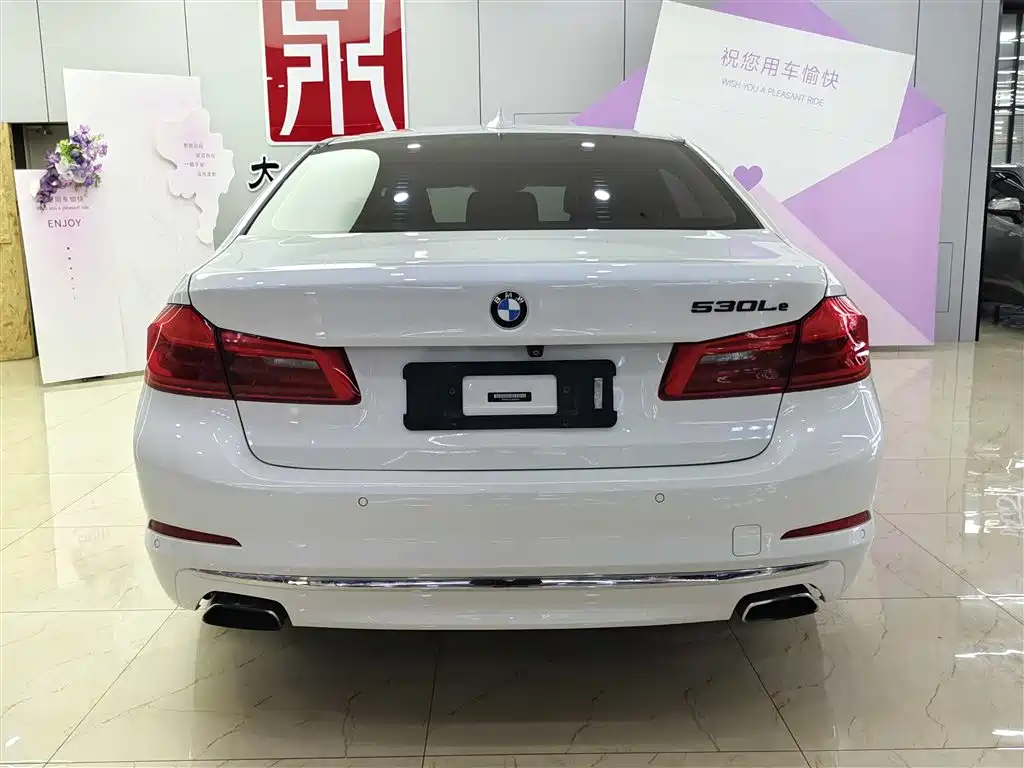 BMW 5 SERIES NEW ENERGY