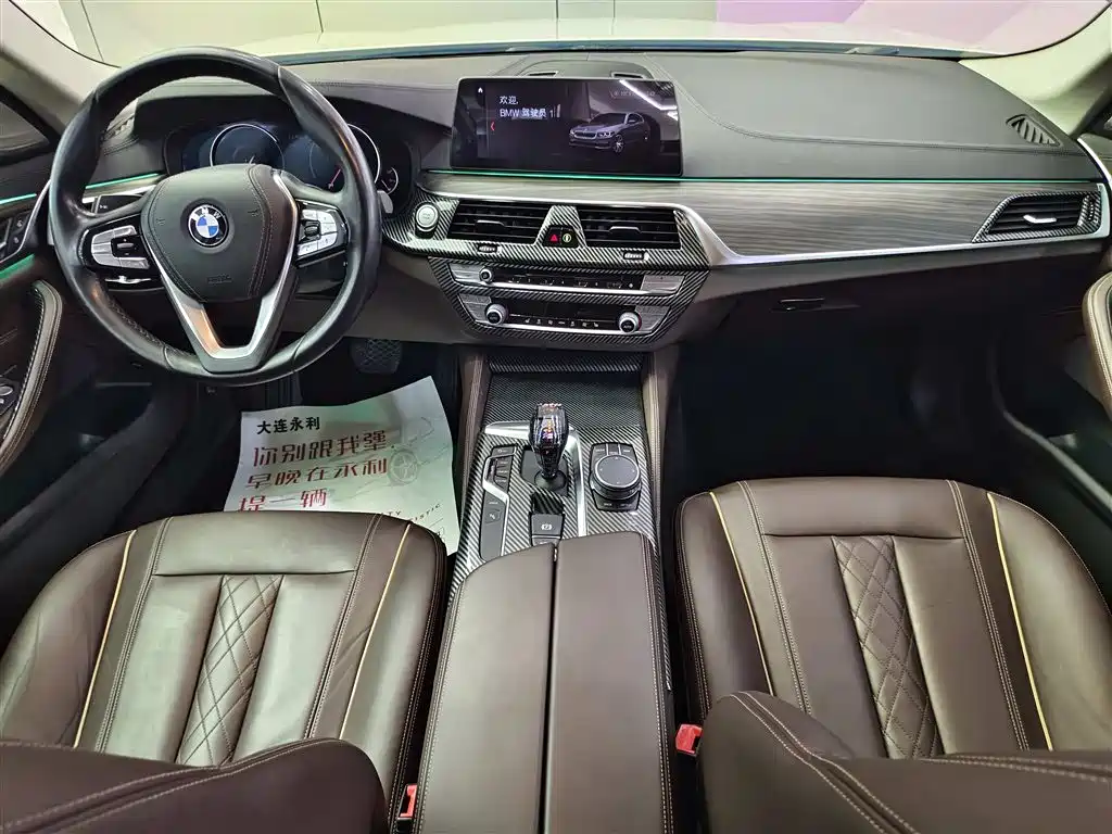 BMW 5 SERIES NEW ENERGY