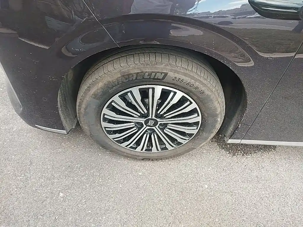 BYD Xia 2025 2025 DM-i 1.5T 180km Excellence