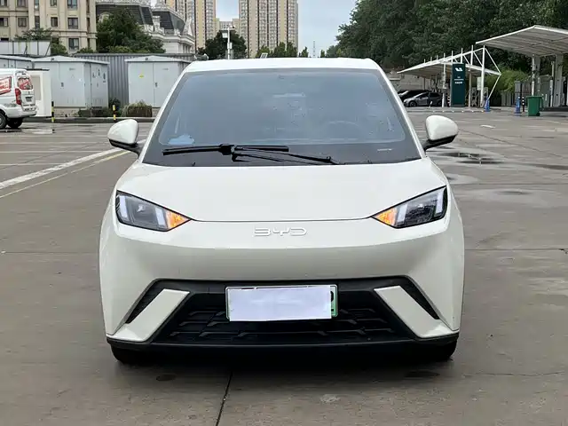 BYD Seagull 2024