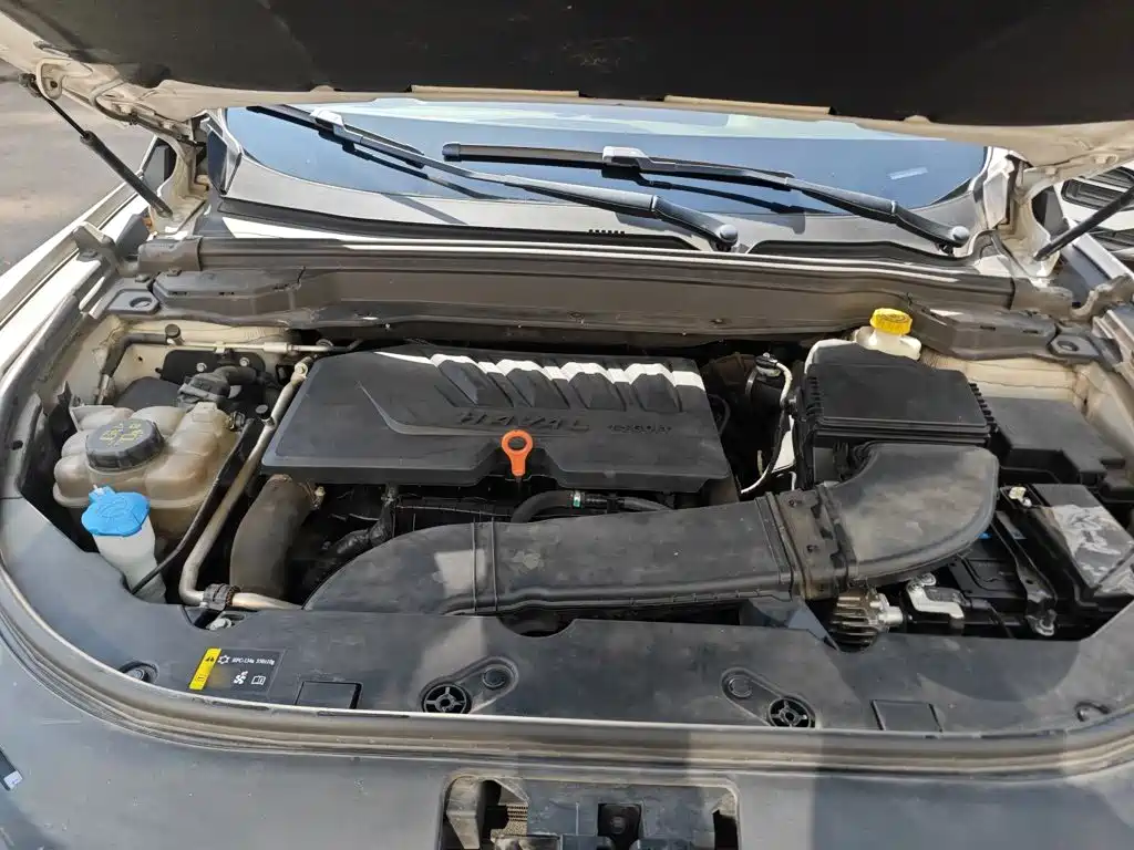 Haval H4 2019 2019 1.5GDIT DCT Luxury Smart Connection China VI