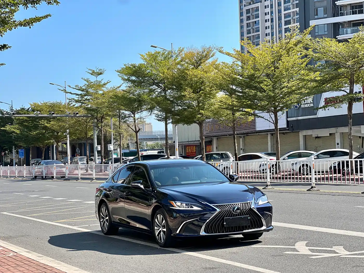 Lexus ES 2021 260 Excellence Edition фото 3