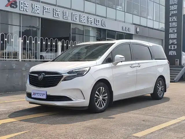 Buick GL8 ES Люкс, 653T, Престиж