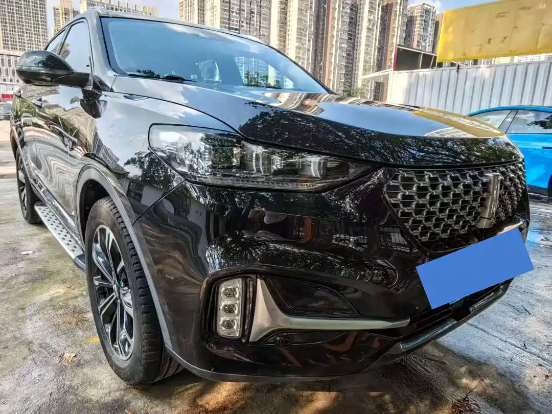 Фото 3 - WEY VV6
