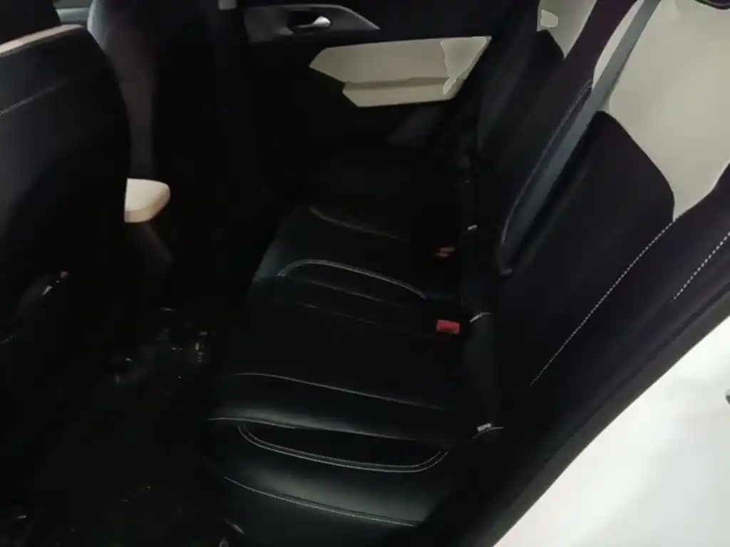 Geely Geometry E Firefly 2024 2024 Model 301km Starlight
