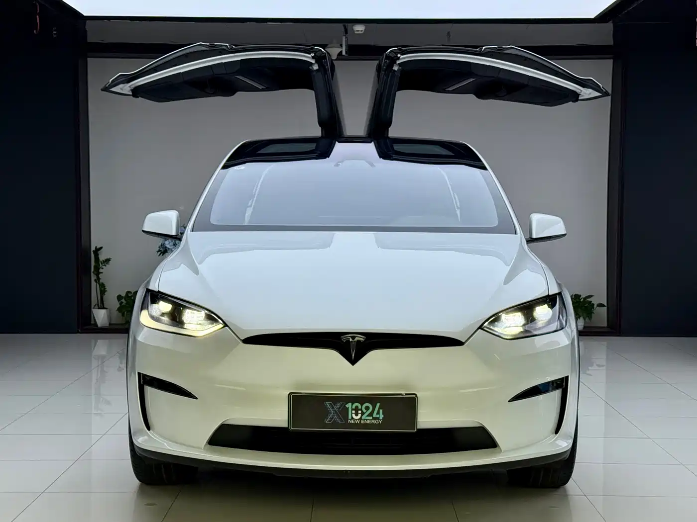 Tesla Model X 2023 Tri-motor AWD Plaid фото 2