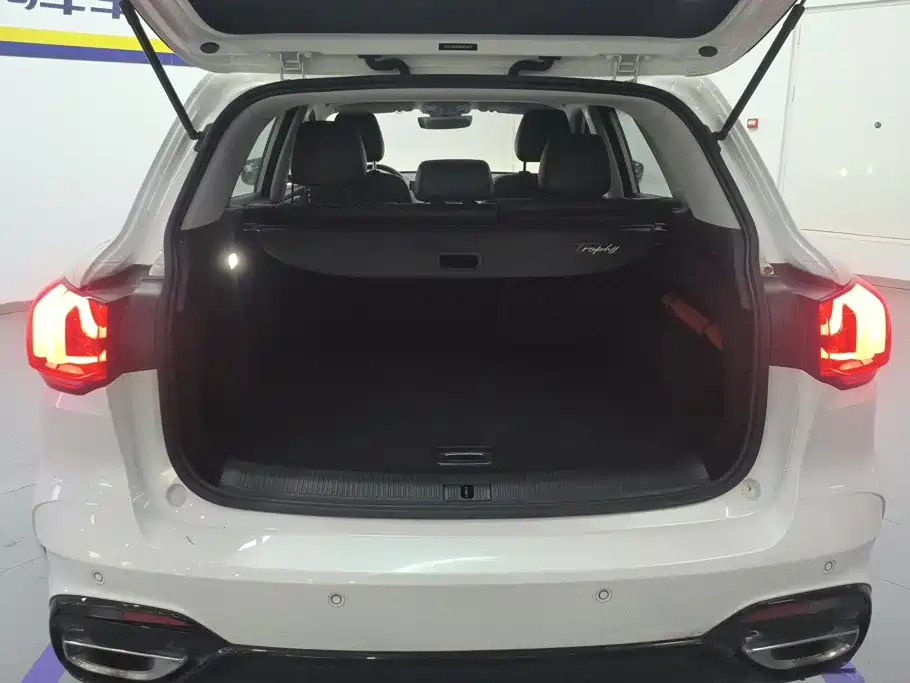 MG Pilot 2021 2021 300TGI Automatic 2WD Randong Luxury Edition
