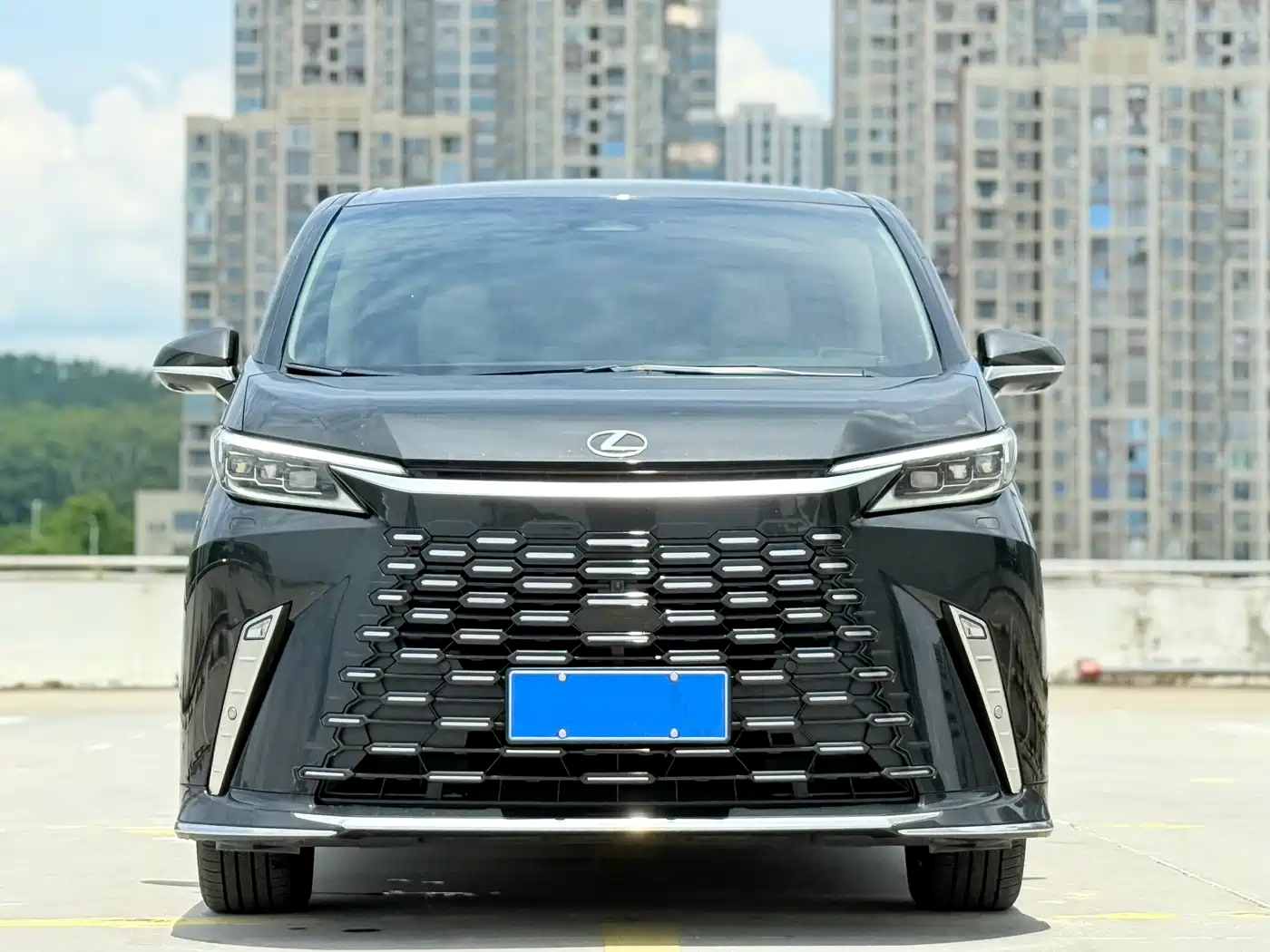 Фото 2 - Lexus LM