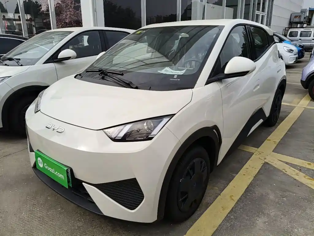 BYD Seagull 2026 2025 Smart Drive Edition 305km Vitality Version