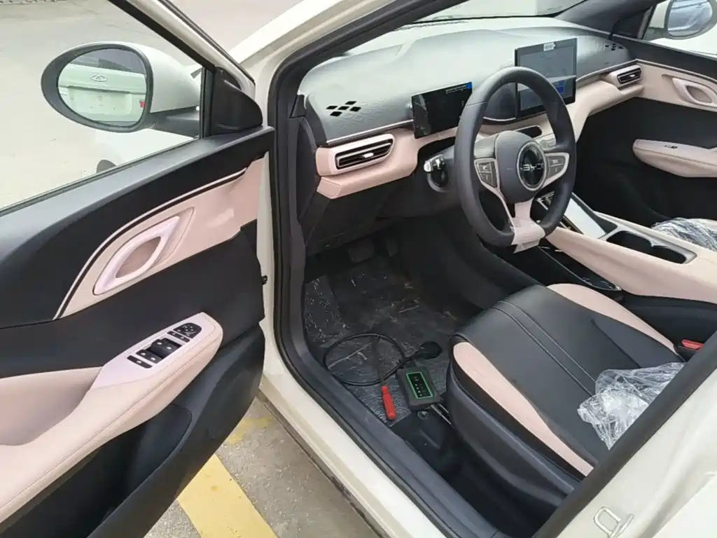 BYD Seagull 2026 2025 Smart Drive Edition 305km Vitality Version