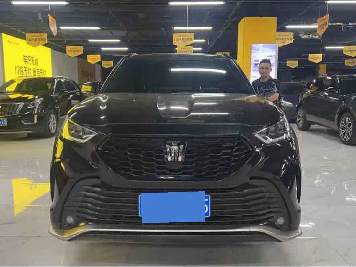 Toyota Crown Kluger 2024 2024 2.5L HEV 4WD Luxury Edition