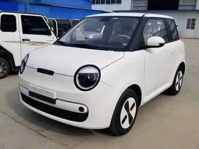 Changan Lumin