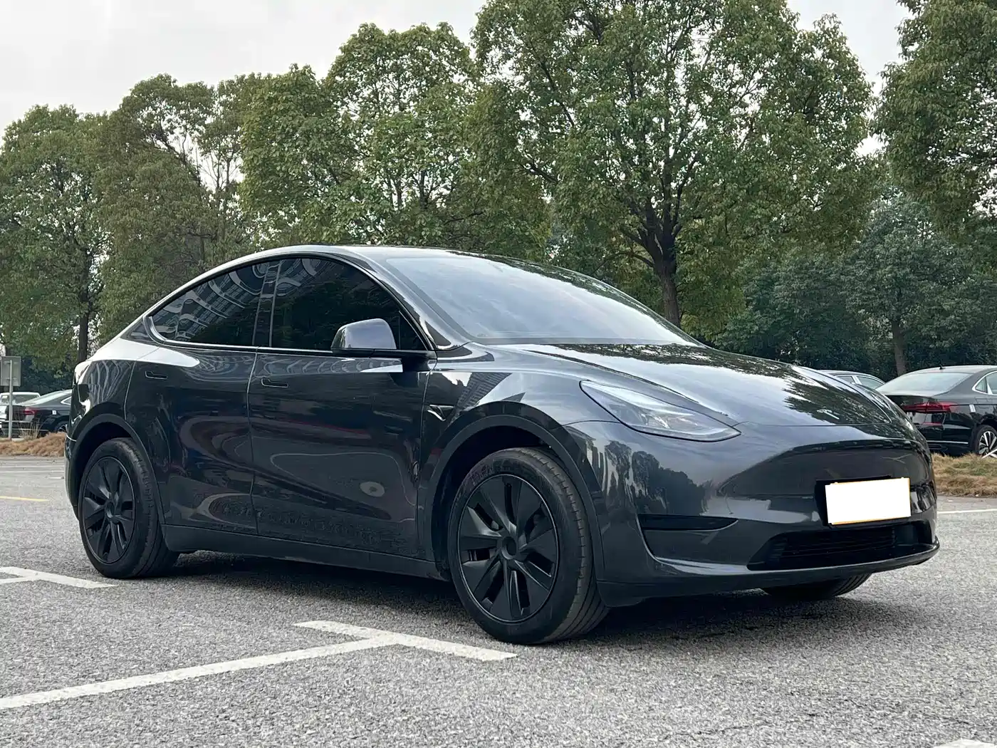 Фото 3 - Tesla Model Y