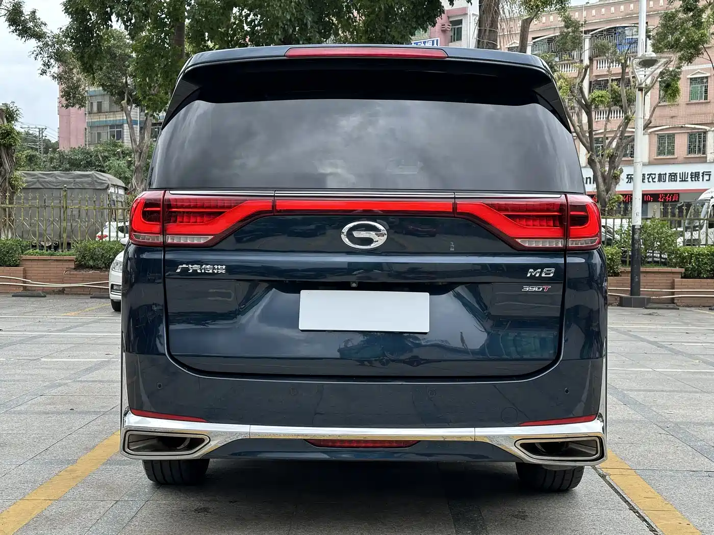 GAC Trumpchi Trumpchi M8 2021 Leading Show Series 390T Ultimate Edition фото 5