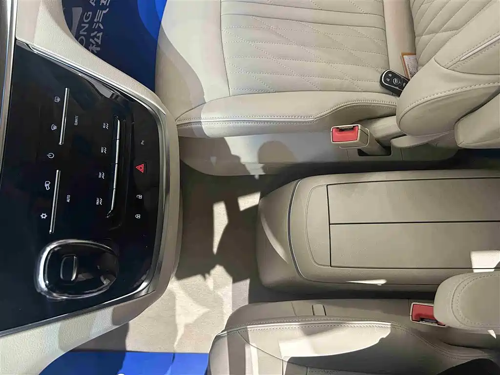 Buick GL8 2023 Land Business Class 652T Luxury фото 11