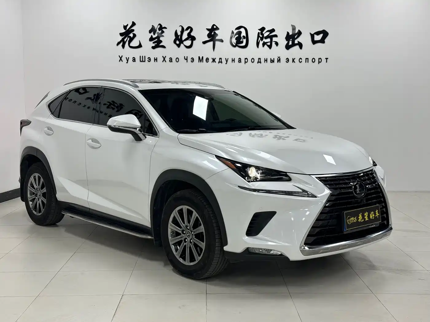 LEXUS NX
