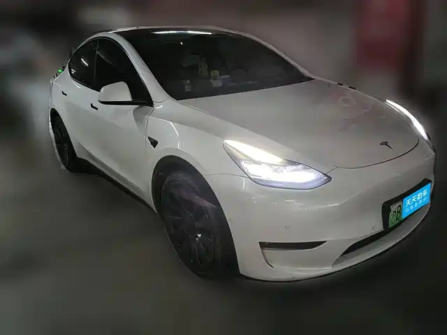 Tesla Model Y 2022 Performance High-Performance All-Wheel Drive Version — фото 3