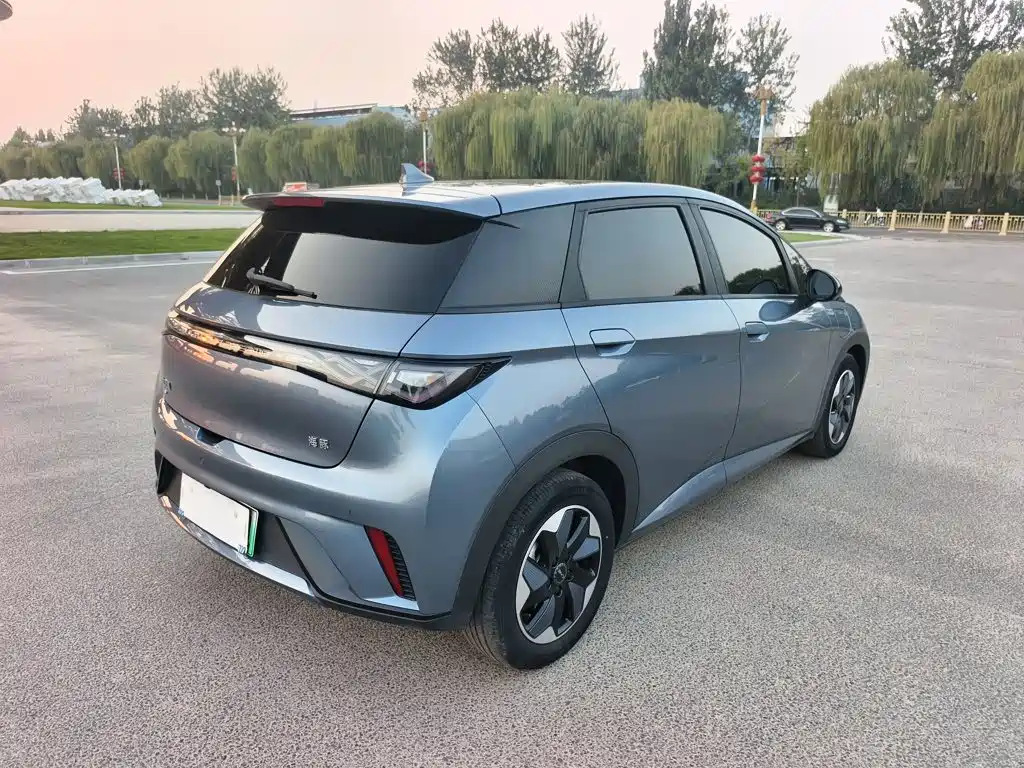 Фото 8 - BYD Dolphin