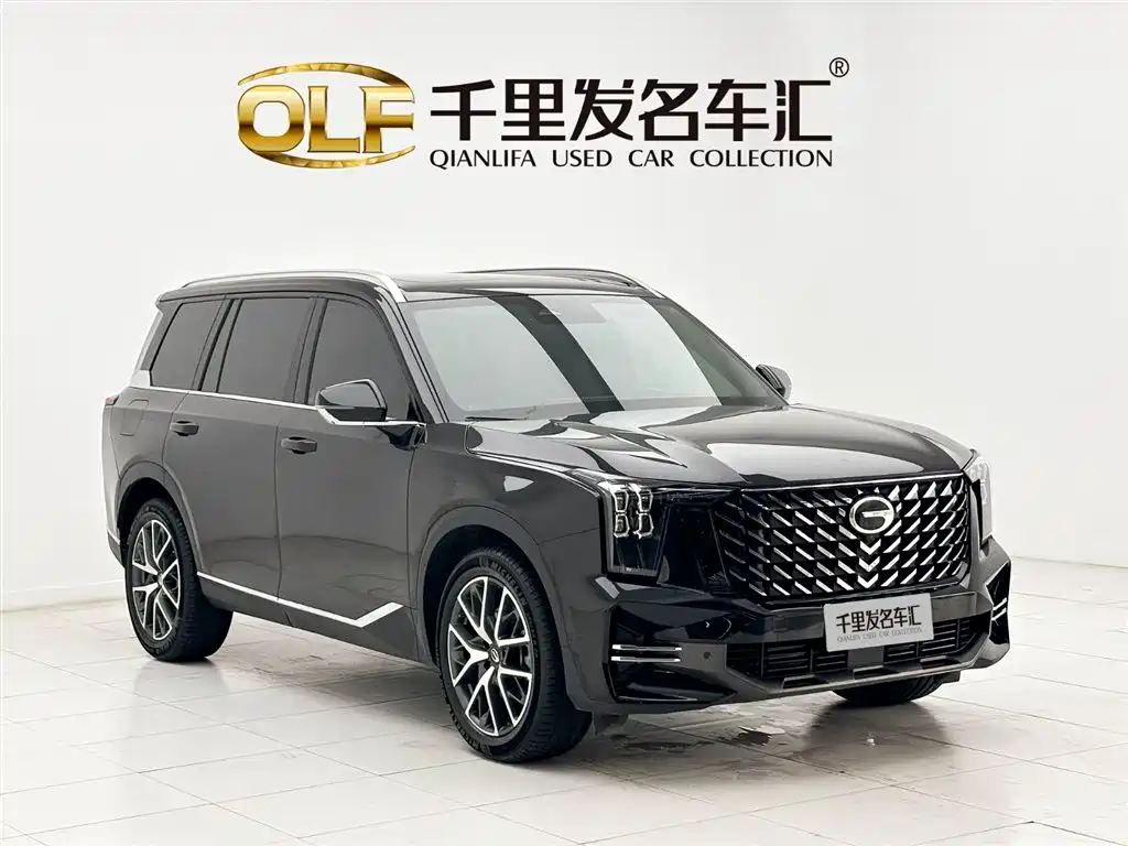 GAC Trumpchi Trumpchi GS8 2025 Pilot Series 2.0TGDI 2WD Luxury Edition 5-seater фото 3
