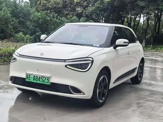 Dongfeng Yipai Nano 01 2024 430 Plus Smart+
